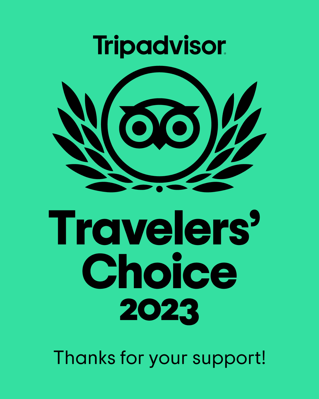 trip advisor badge